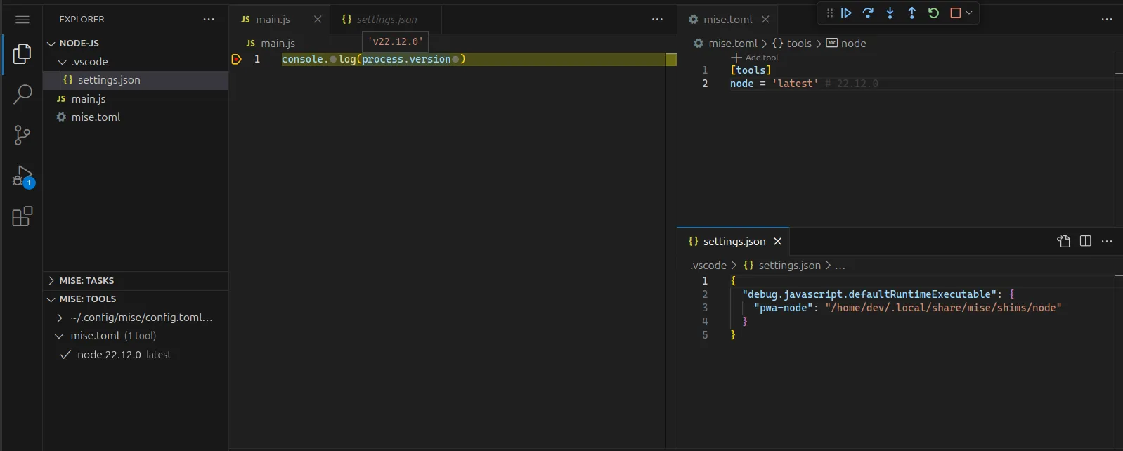 nodejs setup